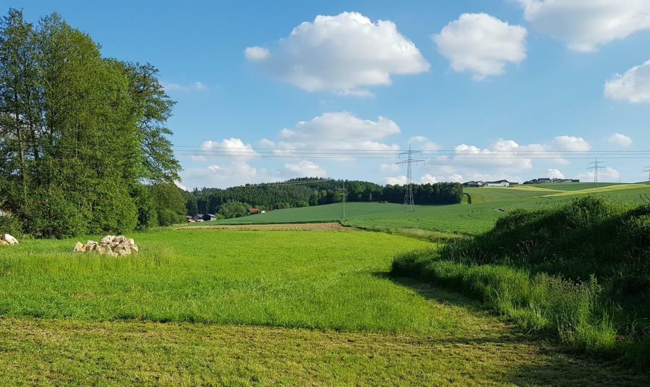 Ferienwohnung Bergmaier Bad Birnbach Zewnętrze zdjęcie